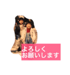 華麗なる山本家（個別スタンプ：19）
