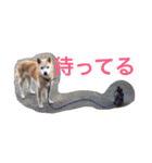 華麗なる山本家（個別スタンプ：37）