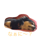 愛しのカカオ（個別スタンプ：5）