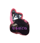 愛しのカカオ（個別スタンプ：6）