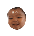 かんまる（個別スタンプ：10）