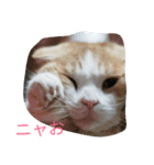 ジュン様（個別スタンプ：1）