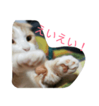 ジュン様（個別スタンプ：3）
