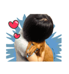 Golden Dachshund Lily（個別スタンプ：3）