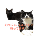 ジジとキキ5周年記念スタンプ（個別スタンプ：1）