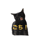 ジジとキキ5周年記念スタンプ（個別スタンプ：3）