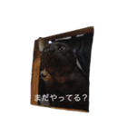 ジジとキキ5周年記念スタンプ（個別スタンプ：6）