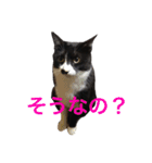 ジジとキキ5周年記念スタンプ（個別スタンプ：8）
