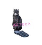ジジとキキ5周年記念スタンプ（個別スタンプ：10）