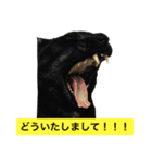 ジジとキキ5周年記念スタンプ（個別スタンプ：20）