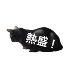 ジジとキキ5周年記念スタンプ（個別スタンプ：23）