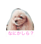 ミニモコ（個別スタンプ：2）