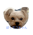 ミニモコ（個別スタンプ：3）