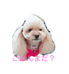 ミニモコ（個別スタンプ：5）