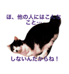 ちょび髭ねこ（個別スタンプ：7）