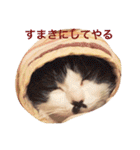 ちょび髭ねこ（個別スタンプ：9）