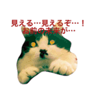 ちょび髭ねこ（個別スタンプ：12）