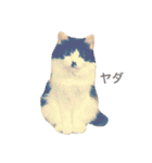 ちょび髭ねこ（個別スタンプ：16）
