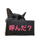 シュールな黒猫（個別スタンプ：1）