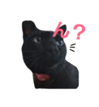 シュールな黒猫（個別スタンプ：5）