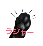 シュールな黒猫（個別スタンプ：6）