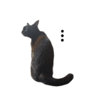 シュールな黒猫（個別スタンプ：8）