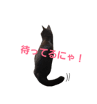 シュールな黒猫（個別スタンプ：10）