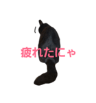 シュールな黒猫（個別スタンプ：12）