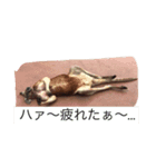 生き物語り（個別スタンプ：7）
