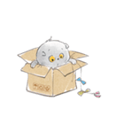 Basik Baby Stickers Pack（個別スタンプ：1）