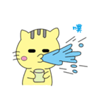 Small yellow cat 3（個別スタンプ：12）