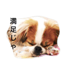 なゆたんスタンプ第2弾（個別スタンプ：3）