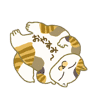 Fat cats.（個別スタンプ：26）