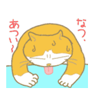 Fat cats.（個別スタンプ：30）