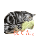 こねこねこねこね2（個別スタンプ：2）