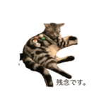 こねこねこねこね2（個別スタンプ：7）