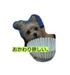 くろだよつば（個別スタンプ：6）