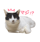 こうとふく。（個別スタンプ：3）