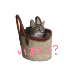 こうとふく。（個別スタンプ：11）