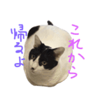 こうとふく。（個別スタンプ：13）