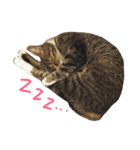 こうとふく。（個別スタンプ：14）