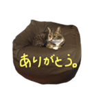 こうとふく。（個別スタンプ：16）