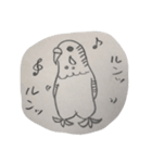 インコ大好きクラブ（個別スタンプ：1）