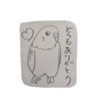 インコ大好きクラブ（個別スタンプ：10）
