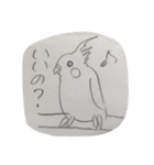 インコ大好きクラブ（個別スタンプ：11）