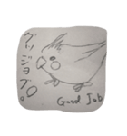 インコ大好きクラブ（個別スタンプ：13）