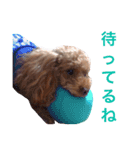 ロッテちゃん。（個別スタンプ：4）