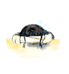 らくがきステッカー（個別スタンプ：6）