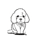 モカ（個別スタンプ：4）