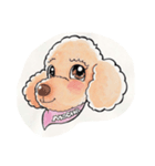 モカ（個別スタンプ：7）